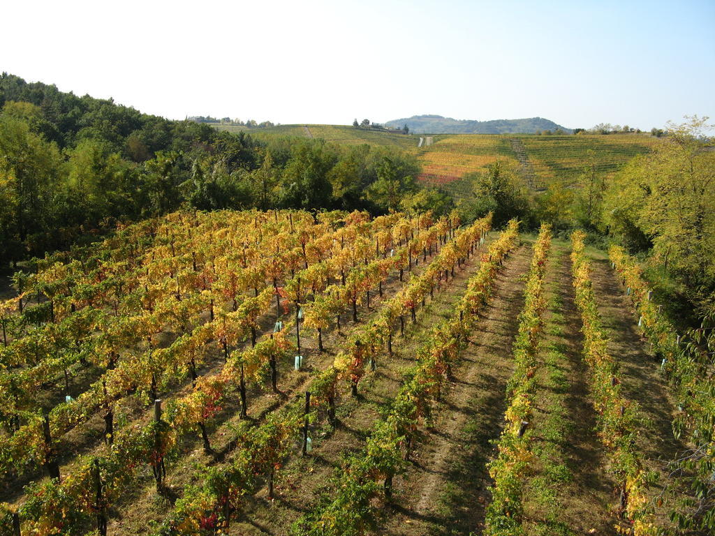 Bosco Romagno Villa Cividale del Friuli Exteriör bild