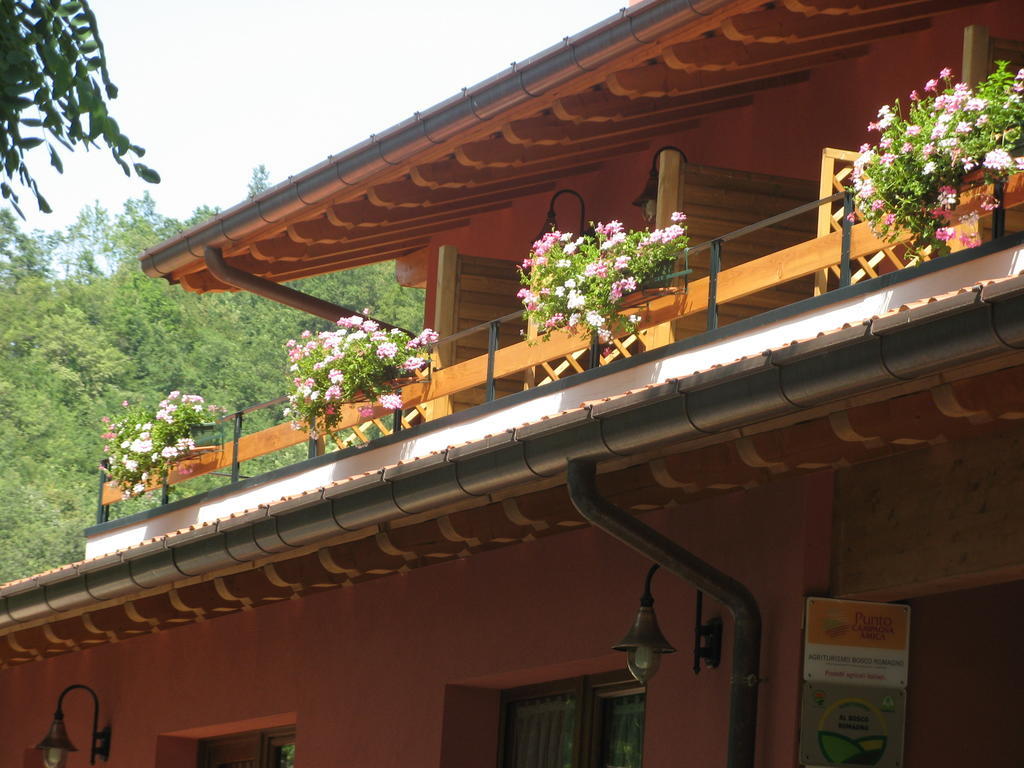 Bosco Romagno Villa Cividale del Friuli Rum bild